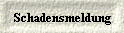 Schadensmeldung